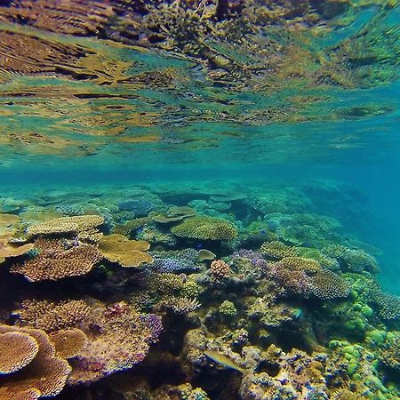 Mai Dive' Astrolabe Reef Resort Naqara 외부 사진