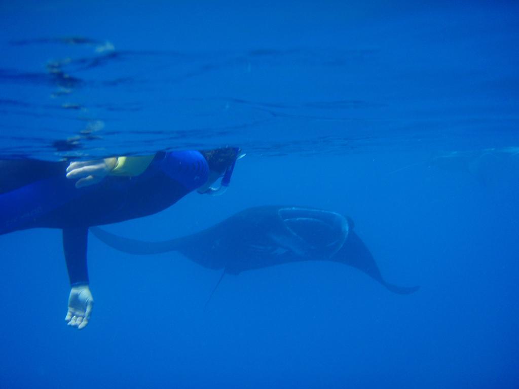 Mai Dive' Astrolabe Reef Resort Naqara 외부 사진