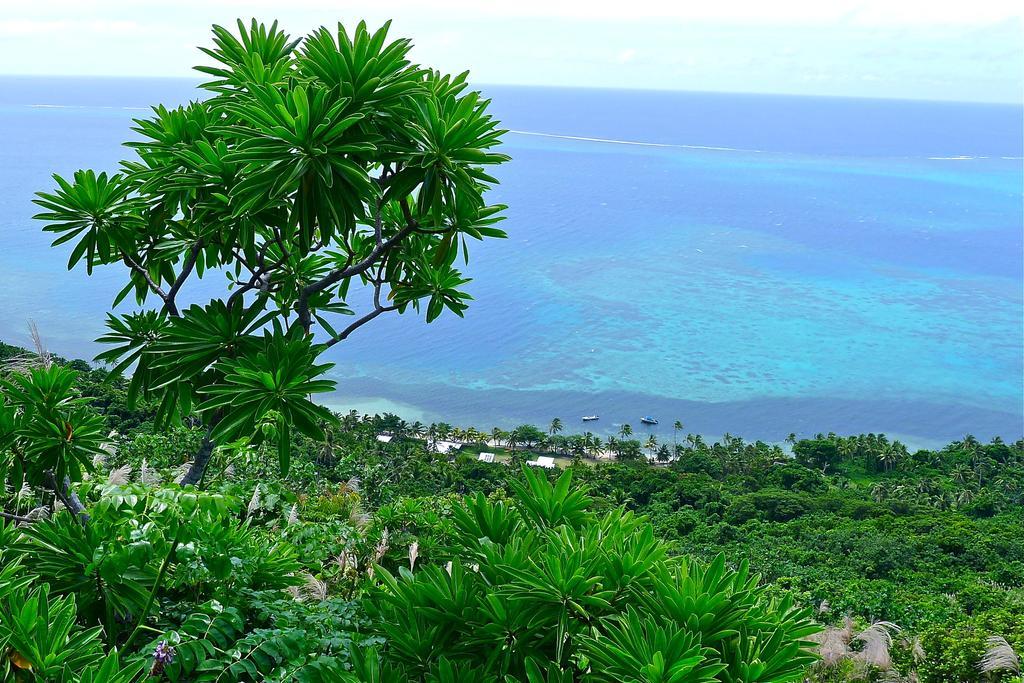 Mai Dive' Astrolabe Reef Resort Naqara 객실 사진