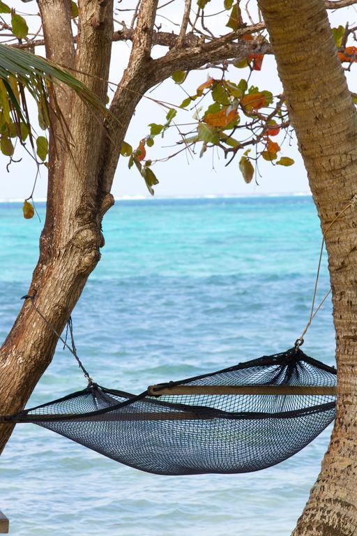 Mai Dive' Astrolabe Reef Resort Naqara 객실 사진