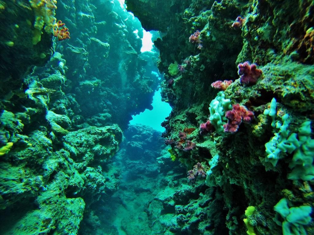 Mai Dive' Astrolabe Reef Resort Naqara 외부 사진